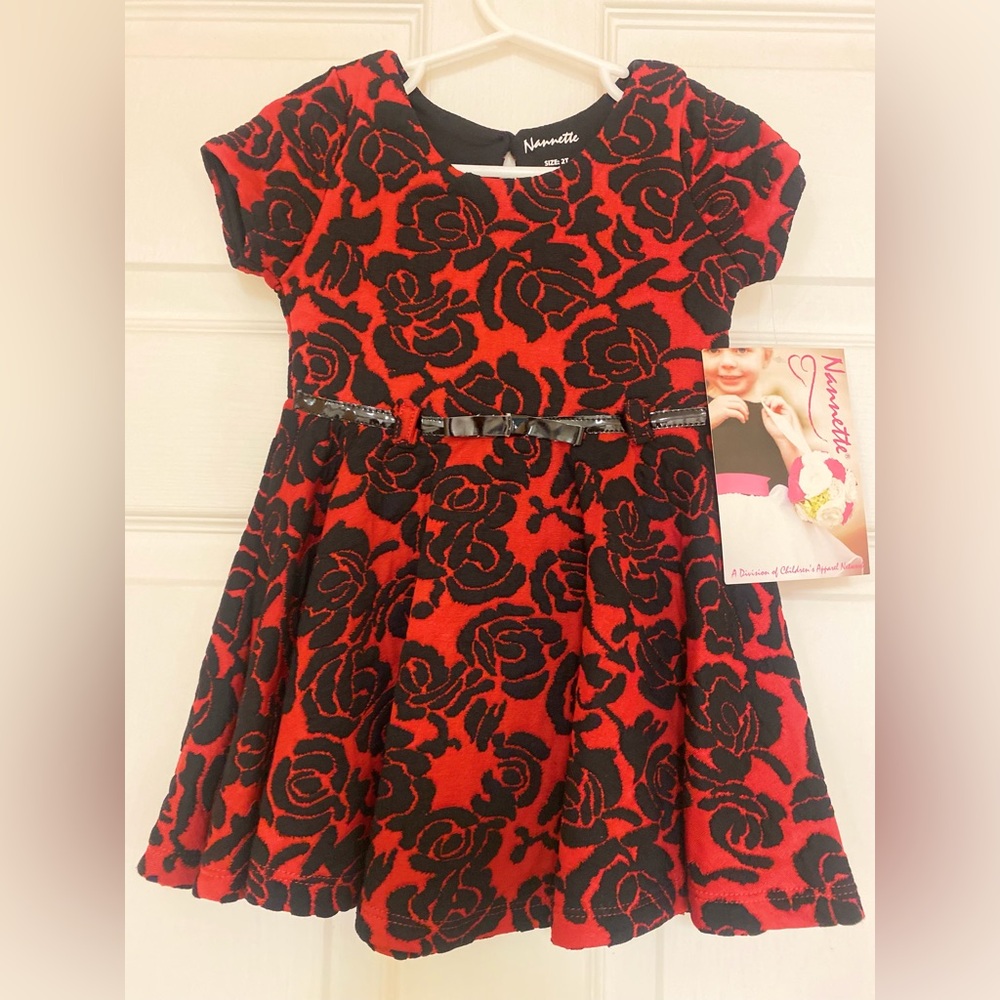 Nannette Girls' Red and Black Rose Print Fit-and-Flare Dress 2T